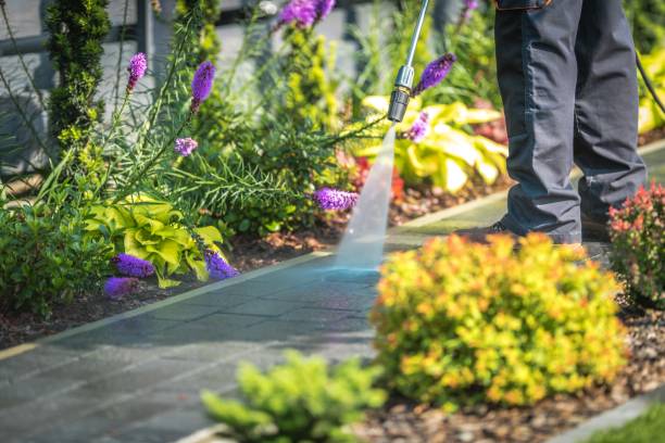 Trusted Fellsmere, FL Pressure Washing Services Experts